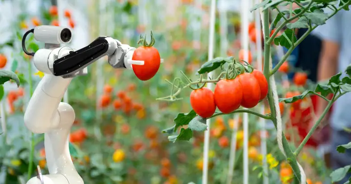 Future Farm